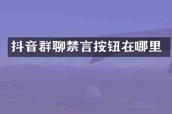 抖音群聊禁言按钮在哪里