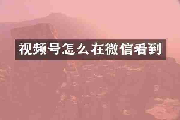 视频号怎么在微信看到