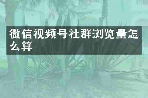 微信视频号社群浏览量怎么算