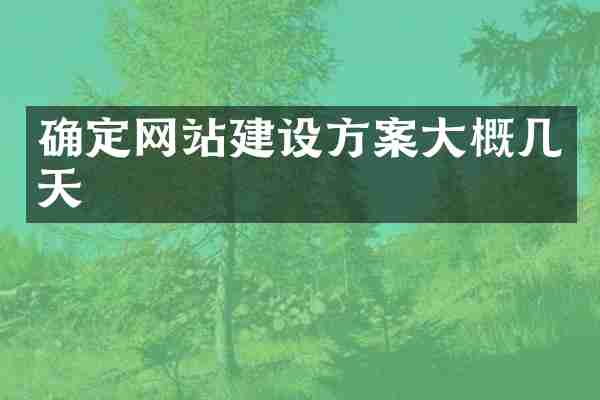 确定网站建设方案大概几天