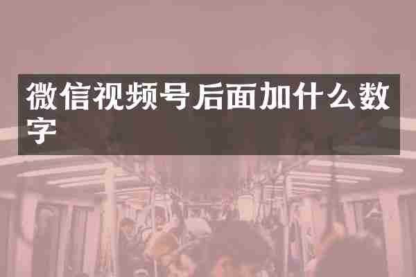 微信视频号后面加什么数字