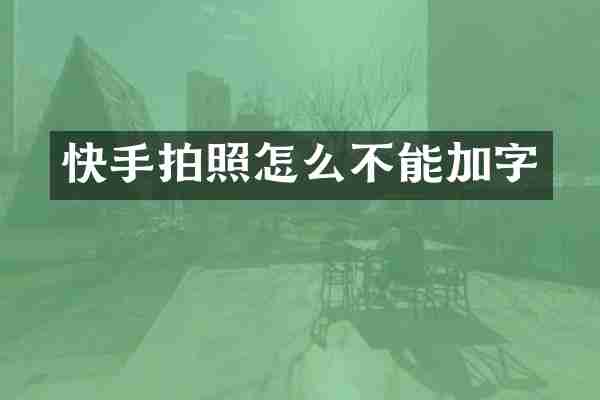 快手拍照怎么不能加字