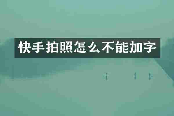 快手拍照怎么不能加字