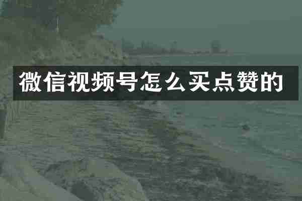 微信视频号怎么买点赞的