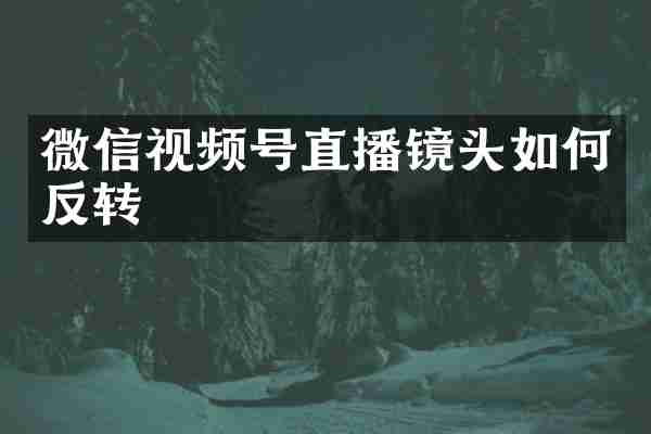 微信视频号直播镜头如何反转