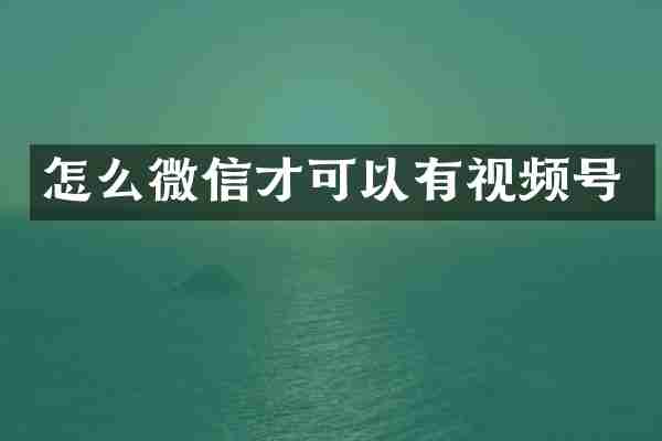 怎么微信才可以有视频号