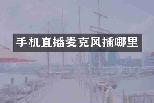 手机直播麦克风插哪里