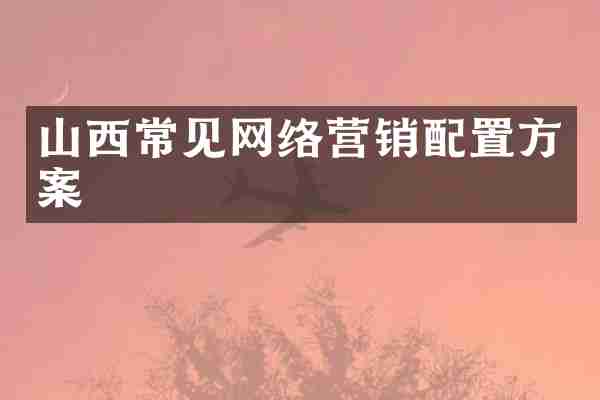 山西常见网络营销配置方案