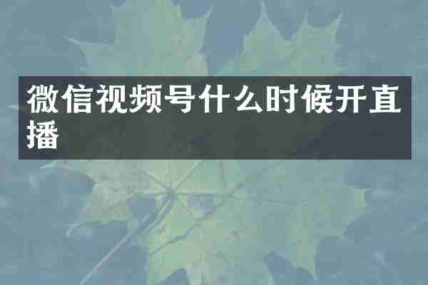 微信视频号什么时候开直播