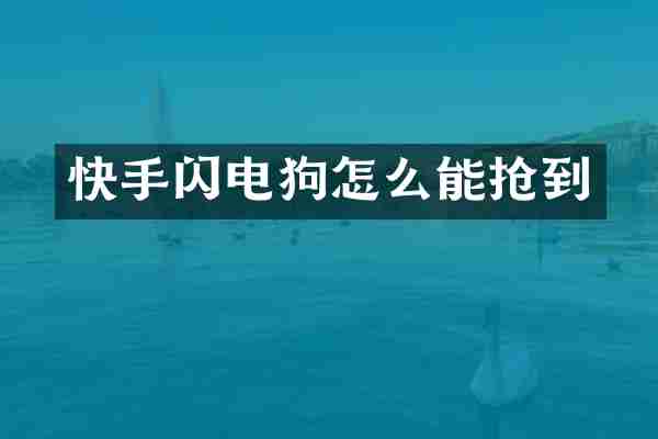 快手闪电狗怎么能抢到