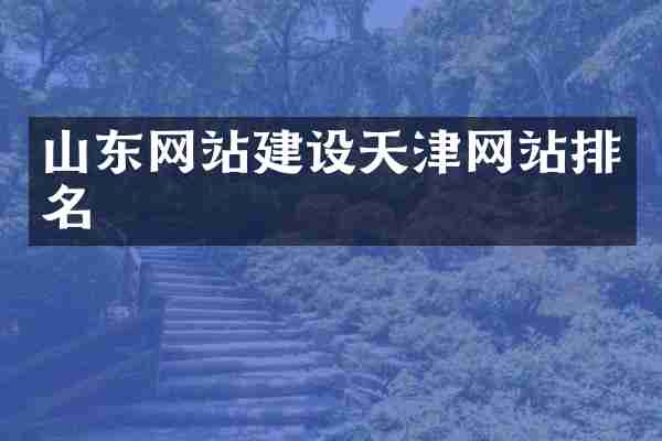 山东网站建设天津网站排名