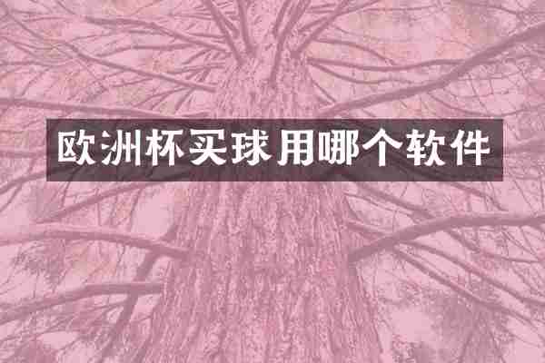 欧洲杯买球用哪个软件