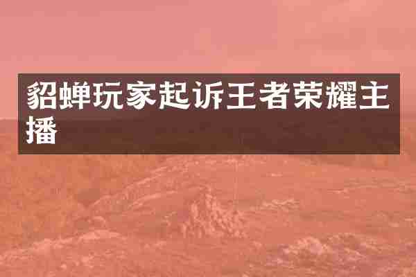貂蝉玩家起诉王者荣耀主播