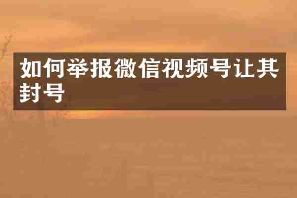如何举报微信视频号让其封号