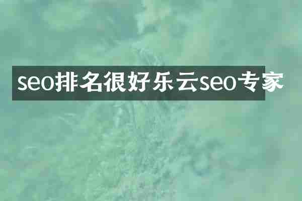 seo排名很好乐云seo专家