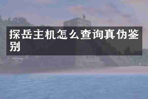 探岳主机怎么查询真伪鉴别