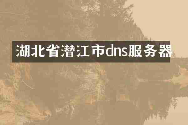 湖北省潜江市dns服务器