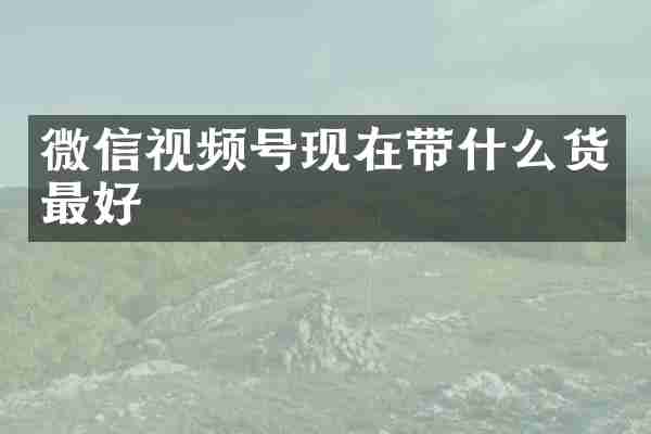 微信视频号现在带什么货最好