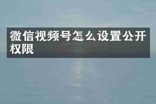 微信视频号怎么设置公开权限