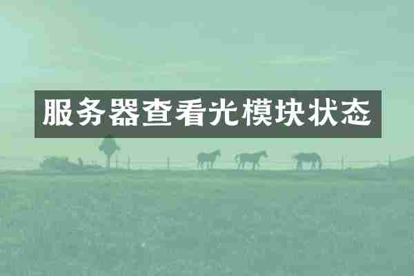 服务器查看光模块状态