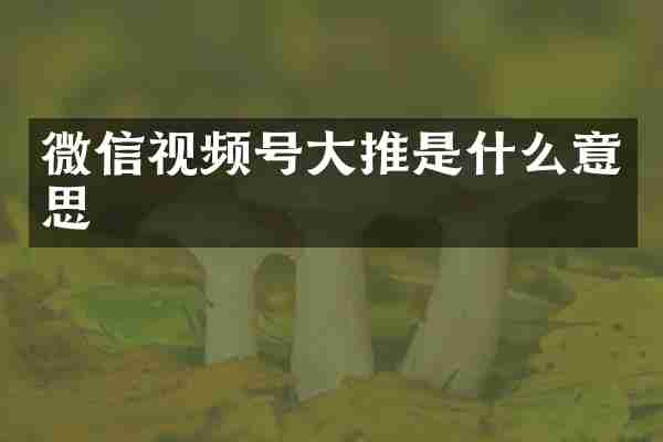 微信视频号大推是什么意思