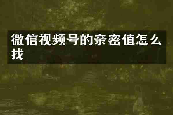 微信视频号的亲密值怎么找