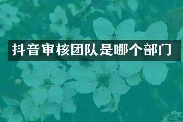 抖音审核团队是哪个部门