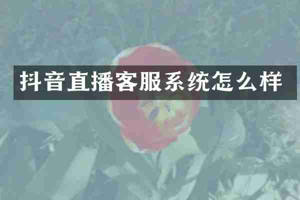 抖音直播客服系统怎么样