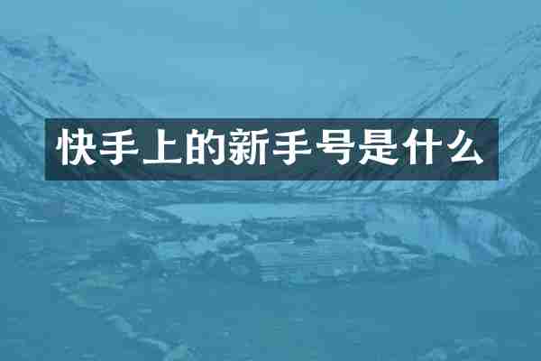 快手上的新手号是什么