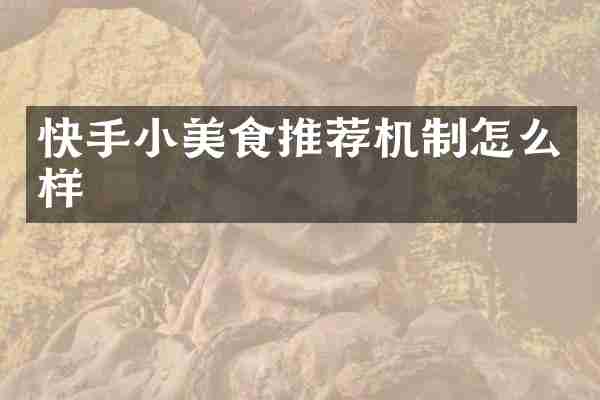 快手小美食推荐机制怎么样