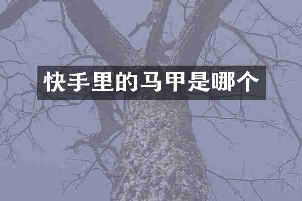 快手里的马甲是哪个