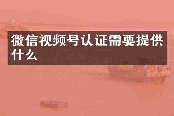 微信视频号认证需要提供什么