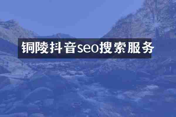 铜陵抖音seo搜索服务