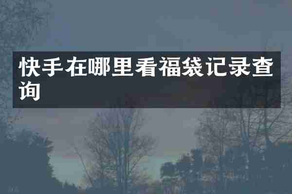 快手在哪里看福袋记录查询
