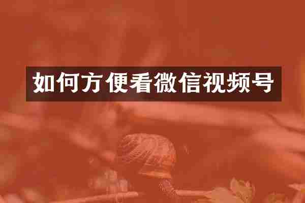 如何方便看微信视频号