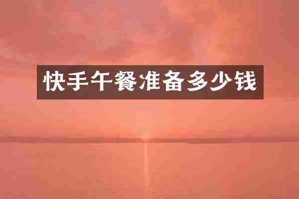 快手午餐准备多少钱