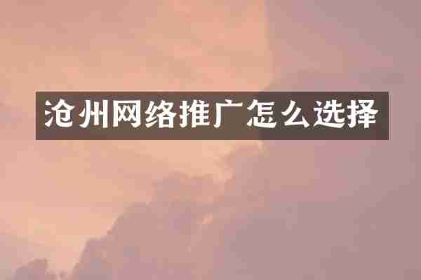 沧州网络推广怎么选择