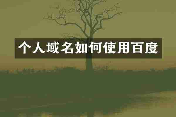 个人域名如何使用百度