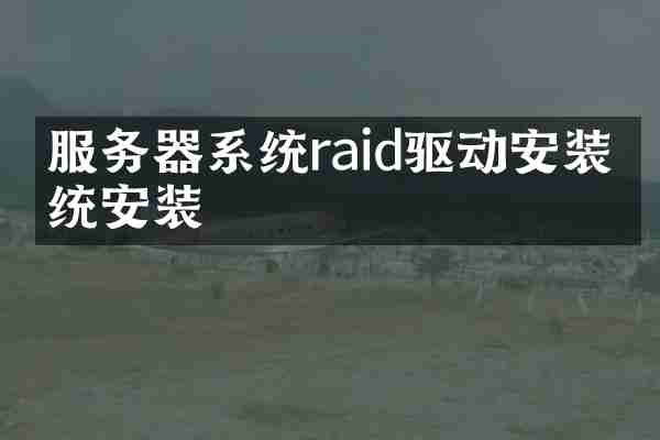 服务器系统raid驱动安装系统安装