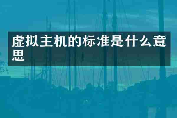 虚拟主机的标准是什么意思