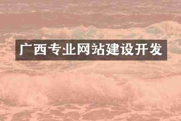 广西专业网站建设开发