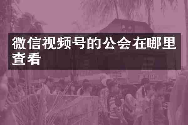 微信视频号的公会在哪里查看