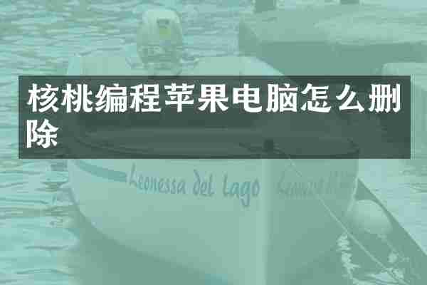 核桃编程苹果电脑怎么删除