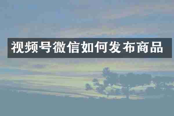 视频号微信如何发布商品
