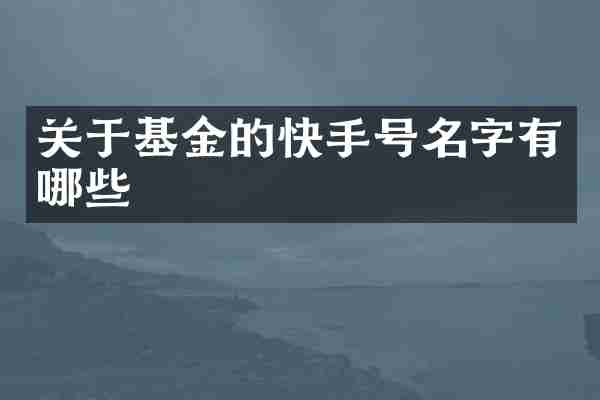 关于基金的快手号名字有哪些