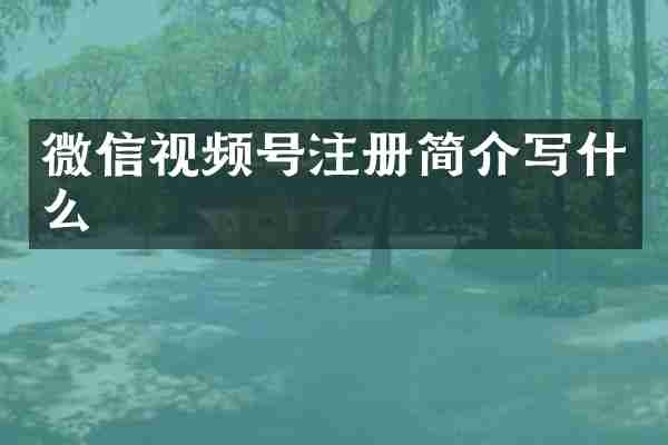 微信视频号注册简介写什么