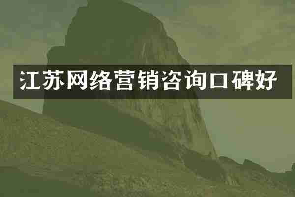 江苏网络营销咨询口碑好