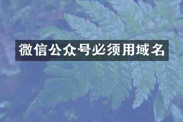 微信公众号必须用域名