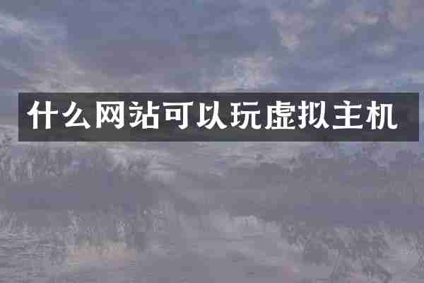 什么网站可以玩虚拟主机
