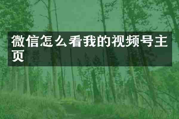 微信怎么看我的视频号主页